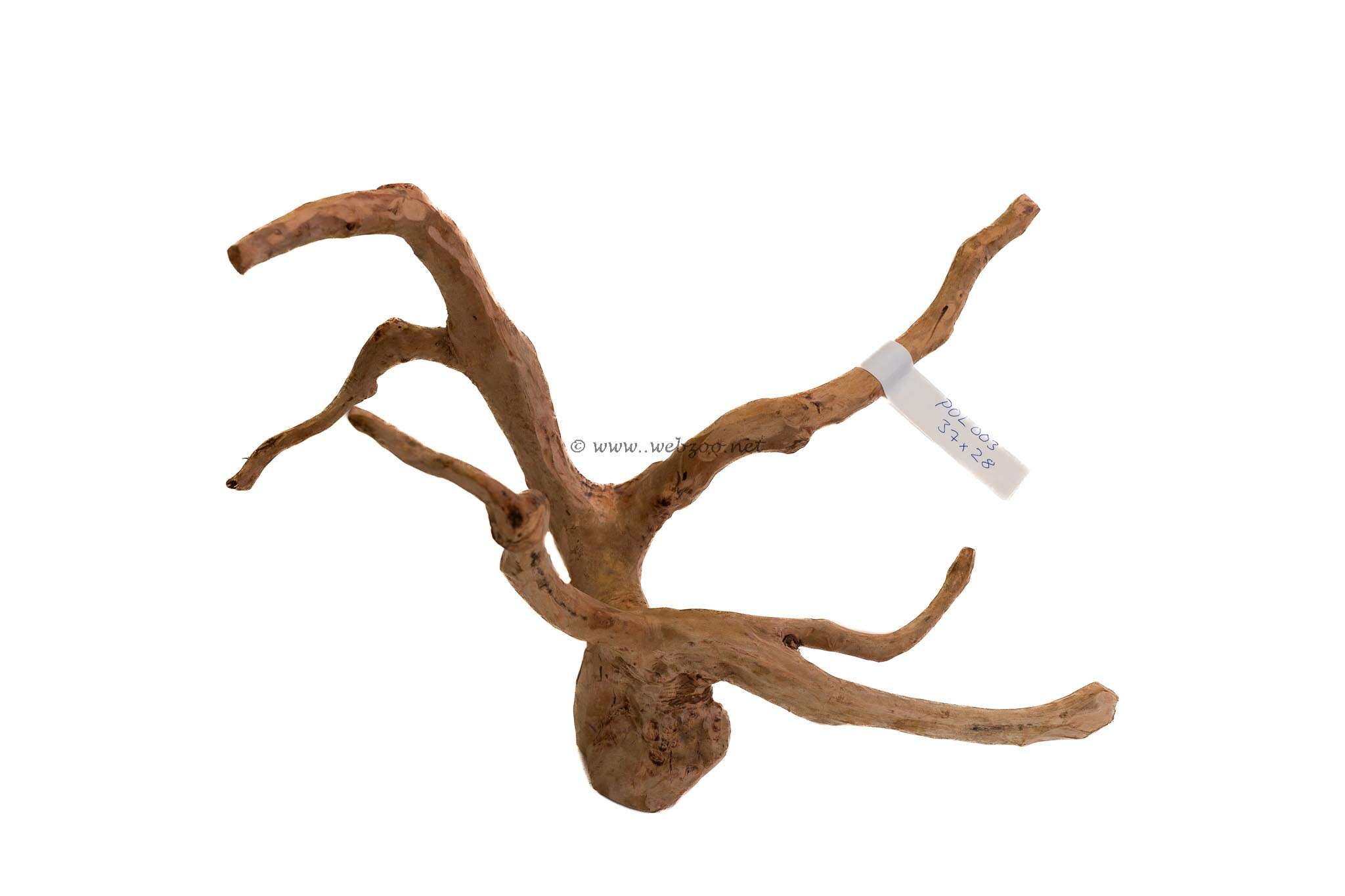 Hugo Polished Wood 3 37x28