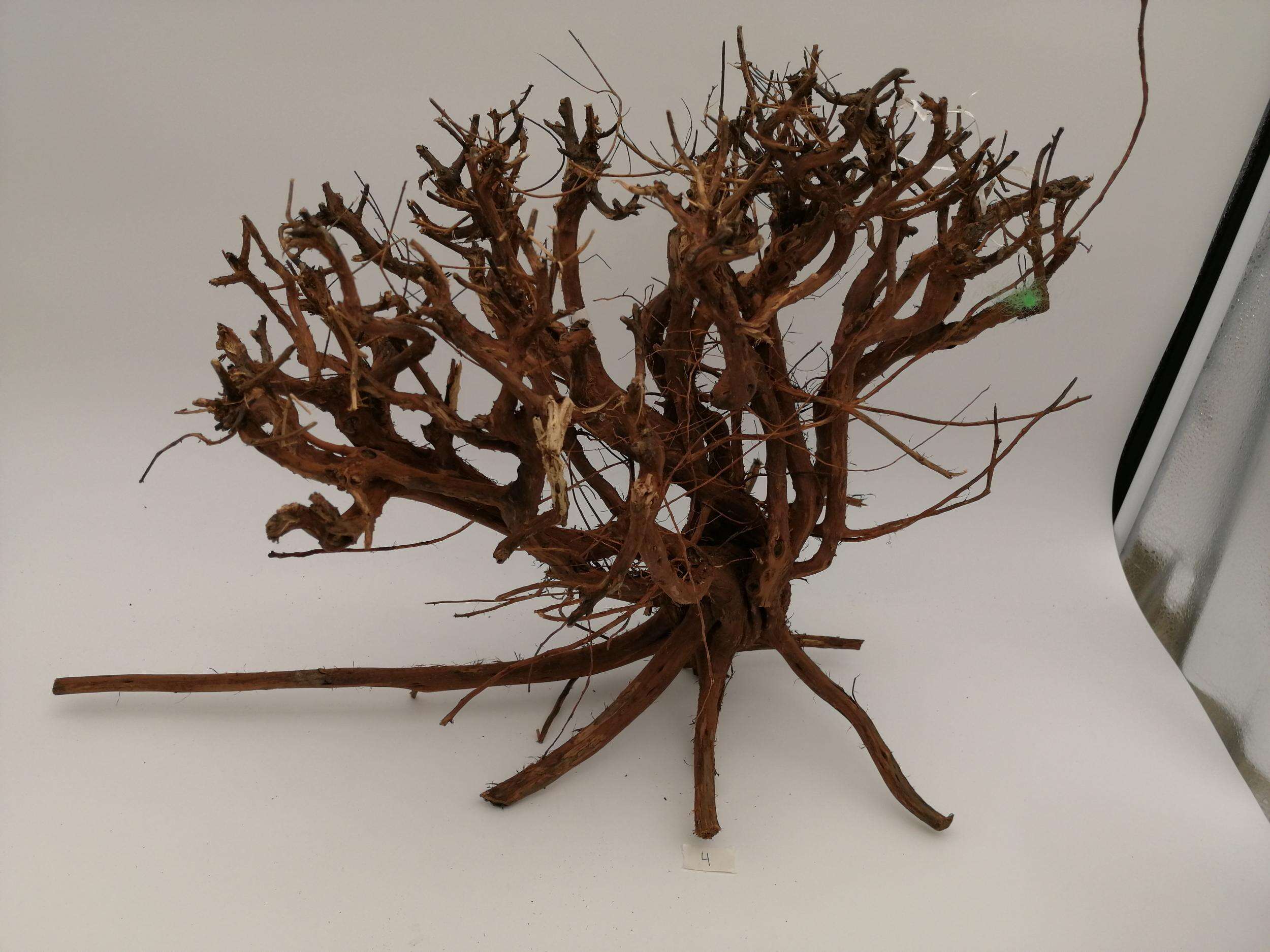 Aqualex Scapingrot nr. 4 50x34cm