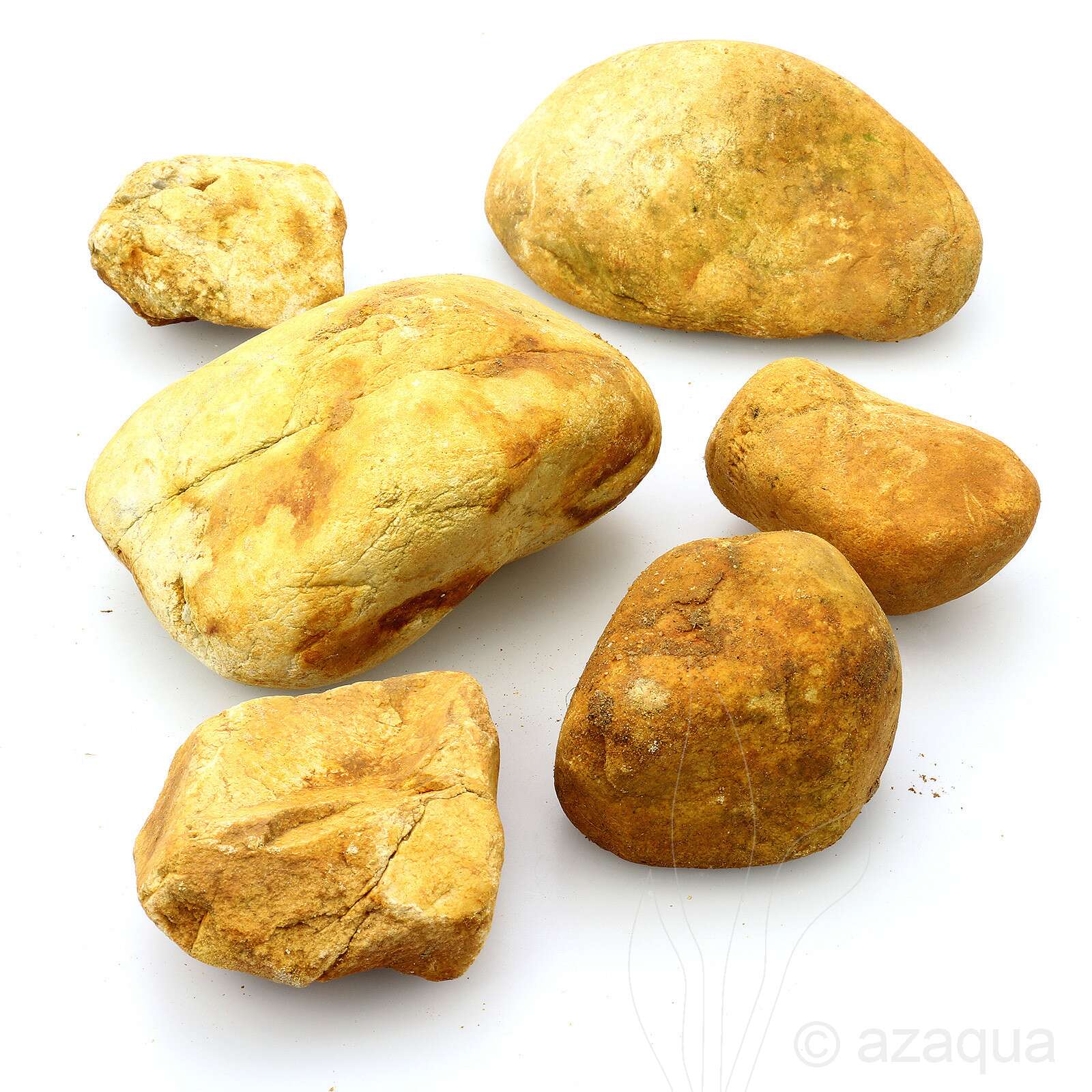 WIO Bumblebee Stone Set Box