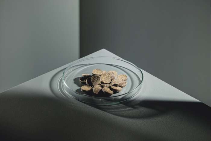 StreamBiz Wels Nuggets Soft Carnivor 250g