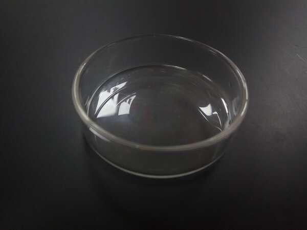 HS Aqua Glass shrimp food plate