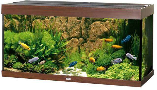 Juwel rio 180 T5 Mørkbrun