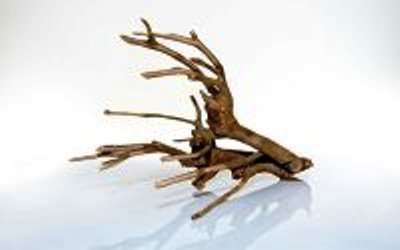 Talawa Wood 80-100cm