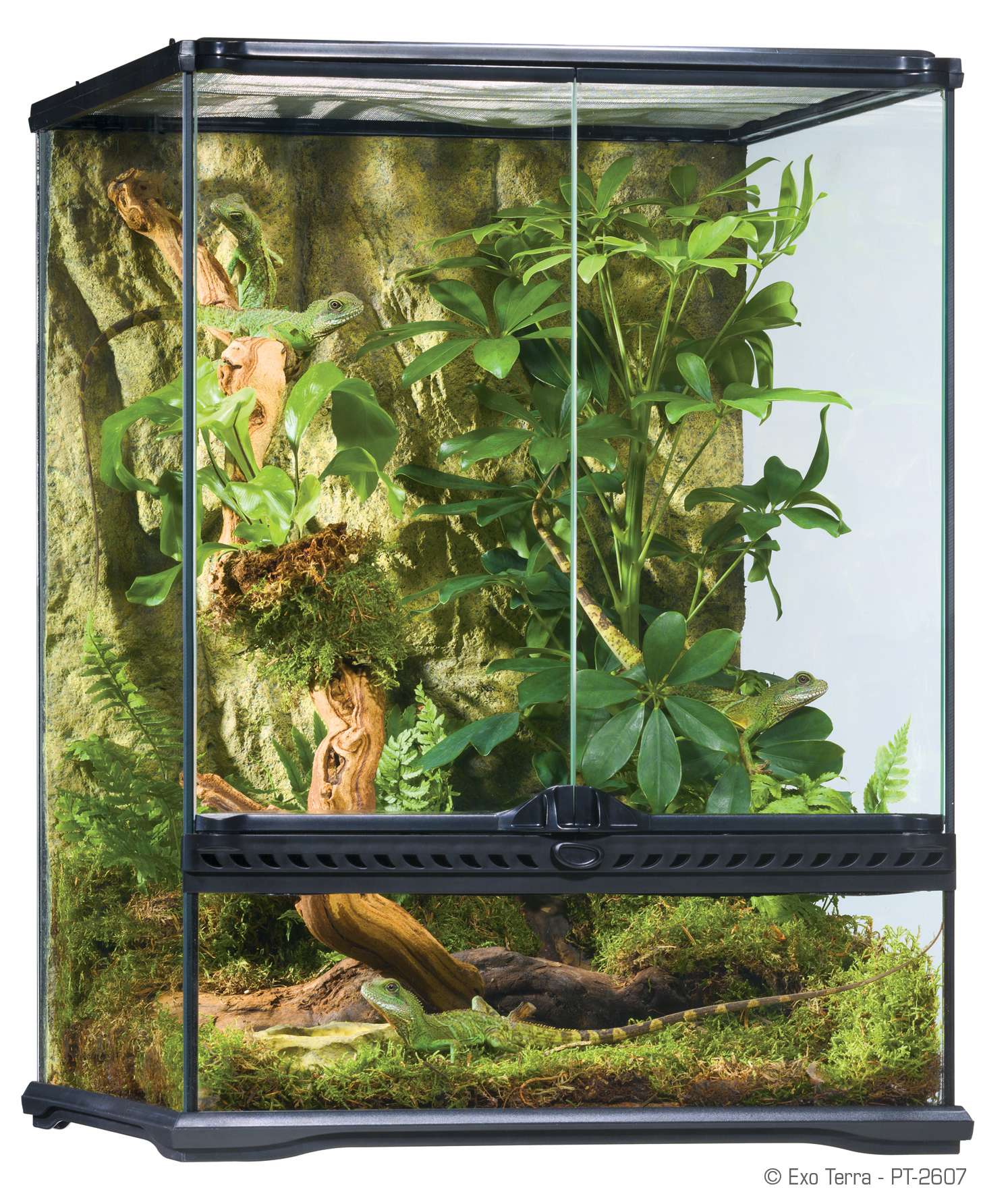 Exo Terra Terrarium 30x30x45cm Mini Tall