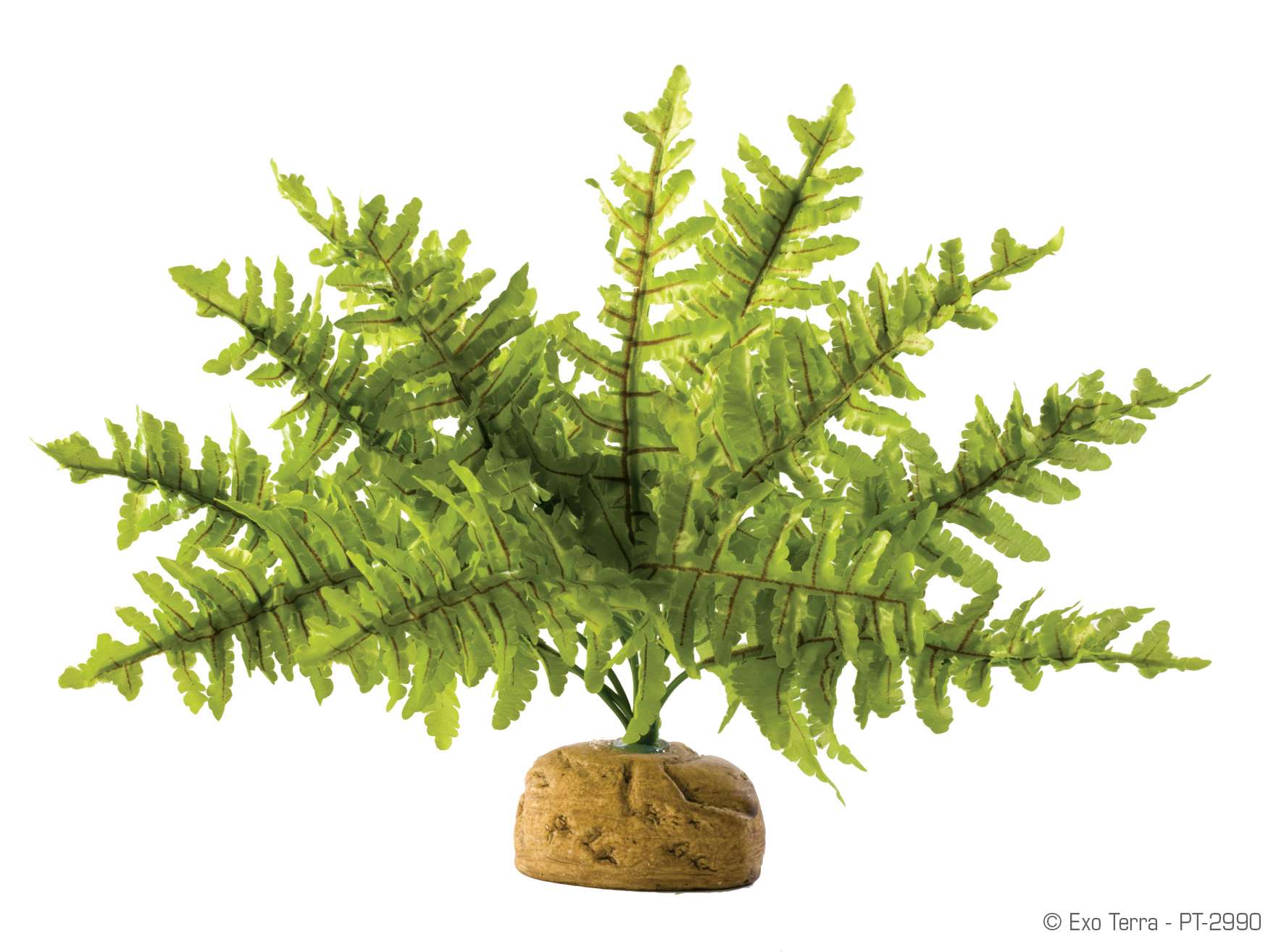 Exo Terra Boston Fern liten