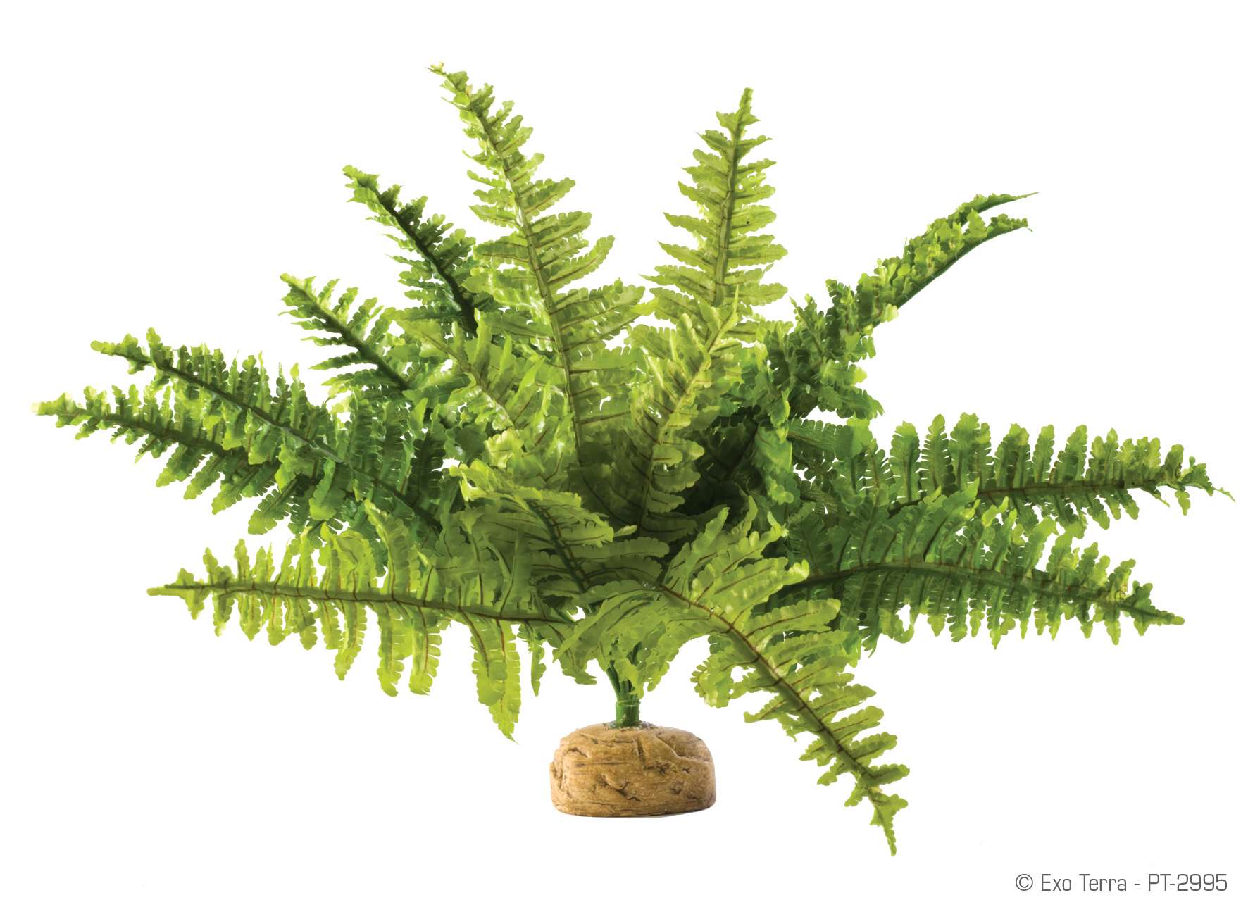 Exo Terra Boston Fern Medium PT2995
