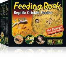 Exo-Terra Feeding Rock