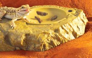 Exo-Terra Vivicator matskål