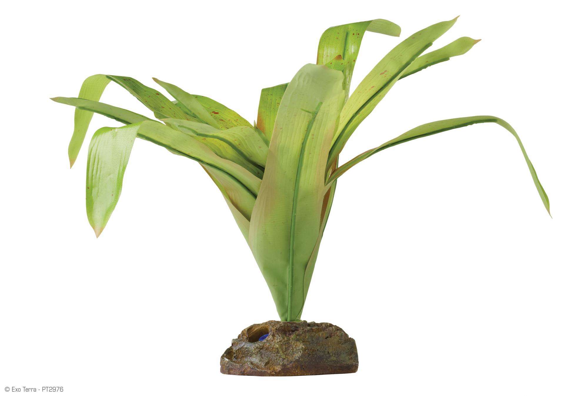 Exo terra Bromelia Medium