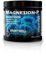 Brightwell Magnesion pulver 300 g