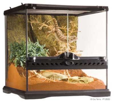 Exo Terra Terrarium 30x30x30cm Mini