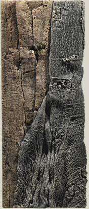 Back to Nature Amazonas Slimline 60C