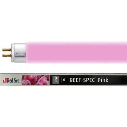 Red Sea Pink 54 watt