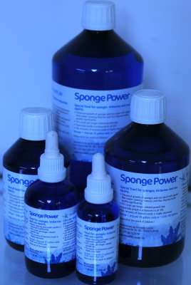 Sponge Power Concentrate 1000 ml