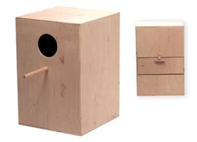 Fugl HOLK PAPEGOJ 35x35x50CM /12cm hål