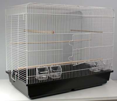 GD Space Parakittbur 120x59x100cm