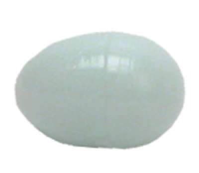 Fugl REDEÄGG KANARIE