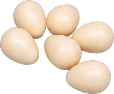 Fugl REDEÄGG HÖNA 4