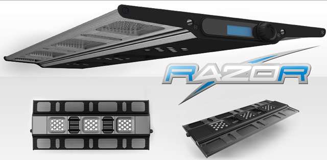 Maxspect 8000 kelvin 60 Watt