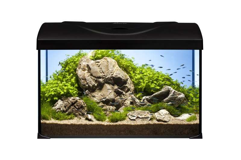 Diversa Startup 60 LED akvariesett 60x30x30cm sort