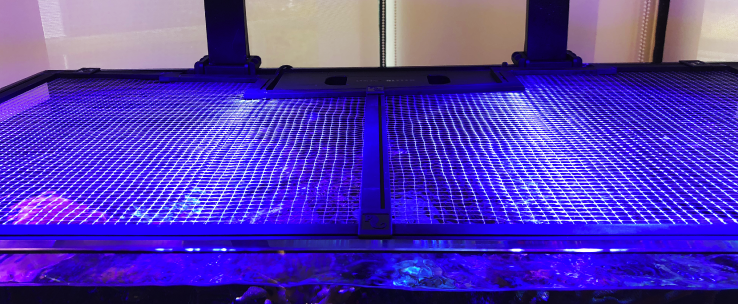 Red Sea Net Cover DIY kit 90cm