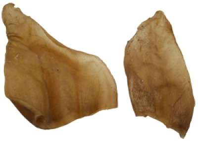 Naturtygg Kalveøre