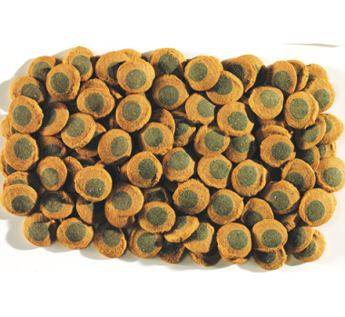 Tetra Pleco Spirulina Wafers 250ml