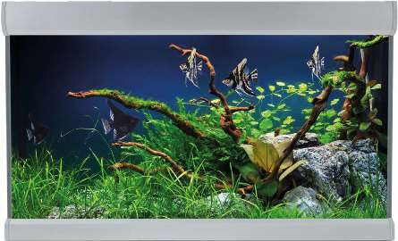 Akvastabil Fusion 144L