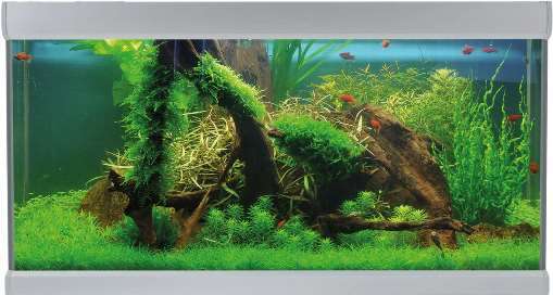 Akvastabil Fusion 250L