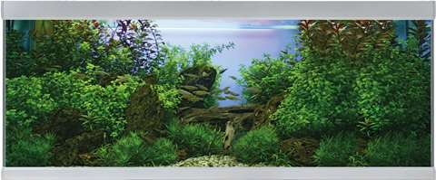 Akvastabil Fusion 325L