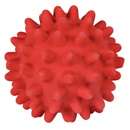 Hundeleke, Pinnsvin ball i latex