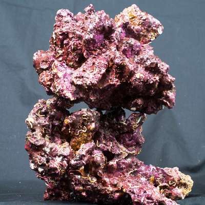 Real Reef Rock mix størrelse