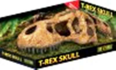 Exo Terra T-Rex Skull