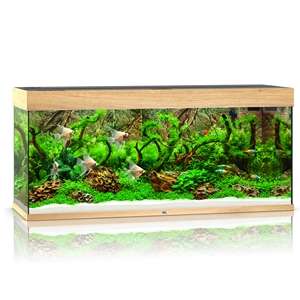 Juwel Rio 240 LED Akvarium Eik