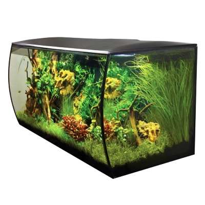 Fluval Flex 123L Sort
