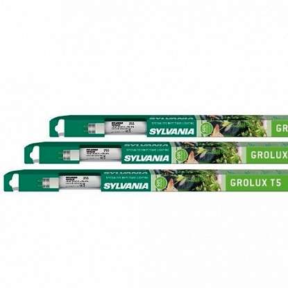 Sylvania Grolux 24W T5