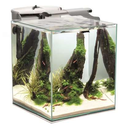 Aquael Fish & Shrimp Duo 35x35x40cm, 49L  Hvit