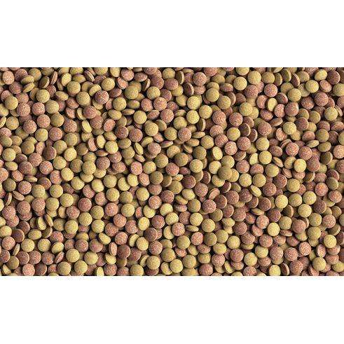 Tetra Tabimin 2050 tabletter