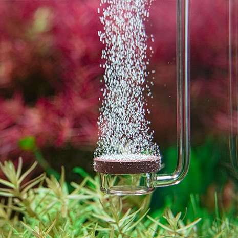 Neo CO2 Diffuser Spesial L