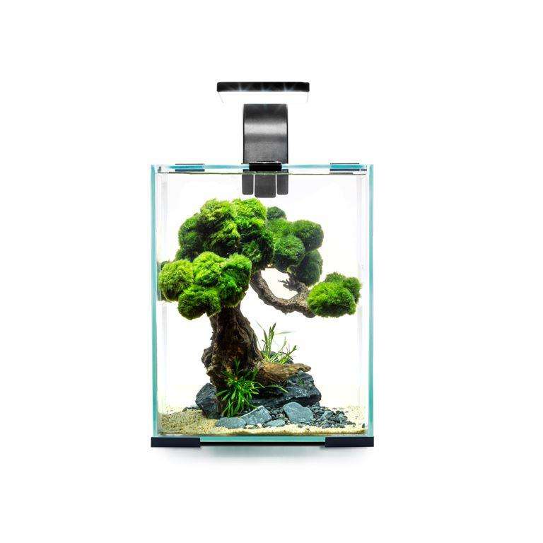Aquael Shrimp set 10L Night and Day Svart