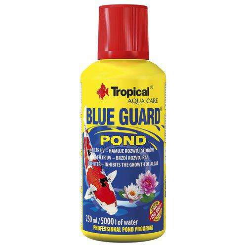 Tropical Blue Guard Pond