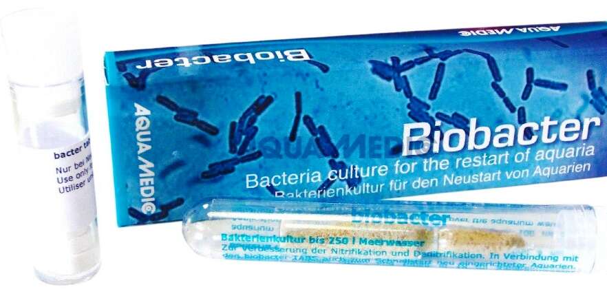 Aqua Medic Biobacter filterbakterier