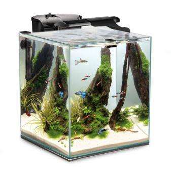Aquael Fish & Shrimp Duo 35x35x40cm, 49L Svart
