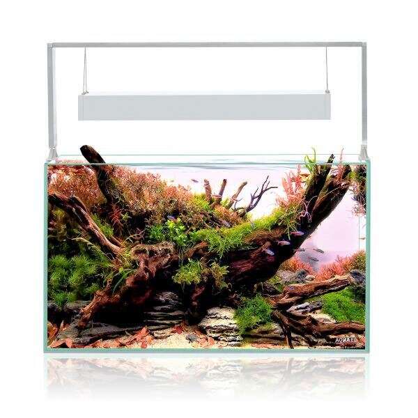 Aquael Ultrascape Snow Hvit 64L