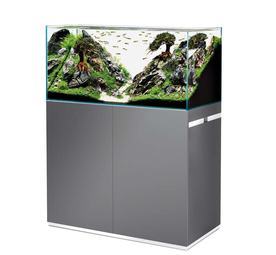 Oase ScaperLine Set 100 Grey