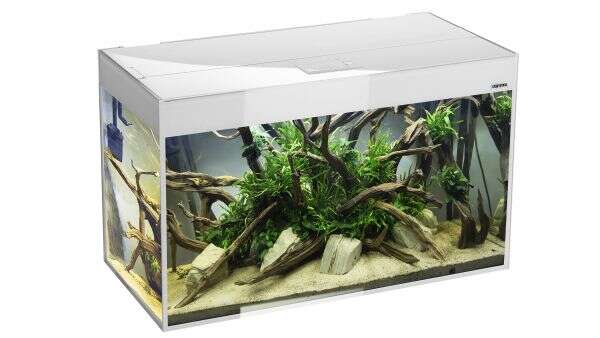 Aquael Akvarium Glossy 150cm Hvit 405l