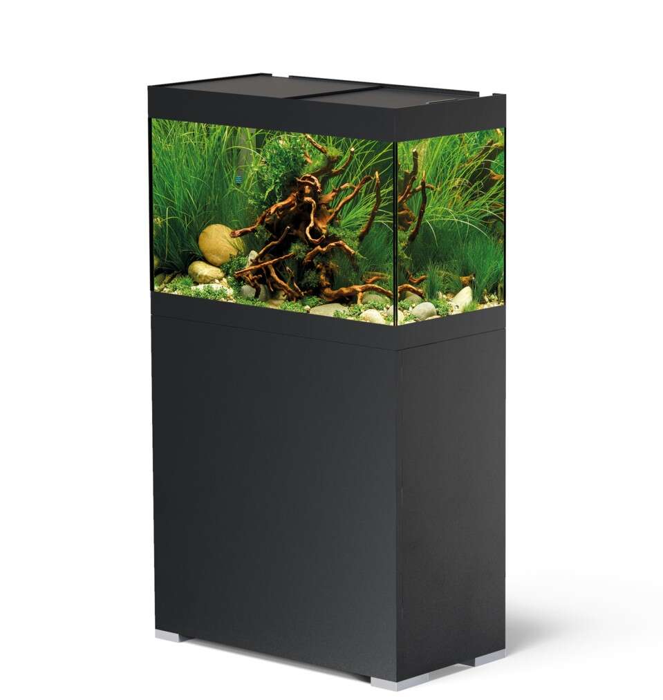 Oase StyleLine 125 Set Svart