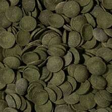 Webzoo Spirulina wafers 250ml løsvekt
