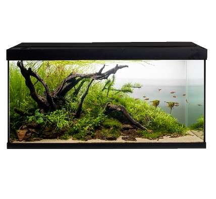 Akvastabil Element 144L Svart