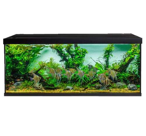 Akvastabil Element 240L Svart